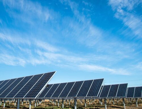 Solarna Instalacja Dla lokalnych rynków